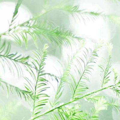 刺激保龄球游戏下载